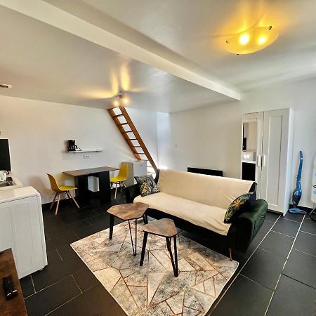 אורליאן Studios Au Quartier Pavillonnaire Rue D Ambert מראה חיצוני תמונה