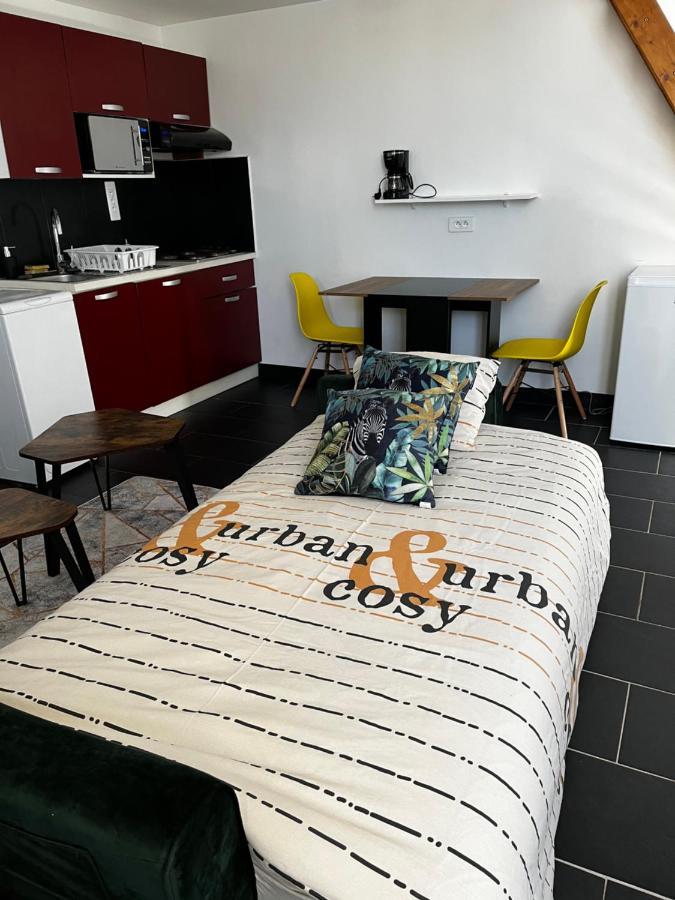 אורליאן Studios Au Quartier Pavillonnaire Rue D Ambert מראה חיצוני תמונה